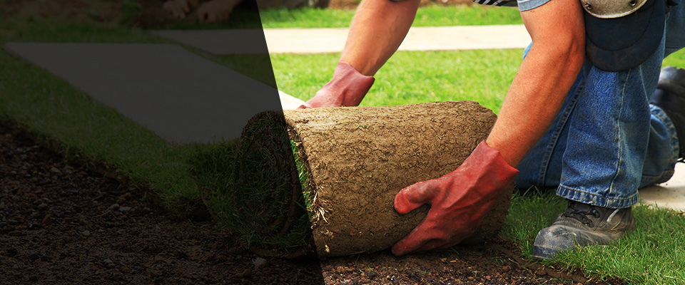 Dawson Springs Landscapers